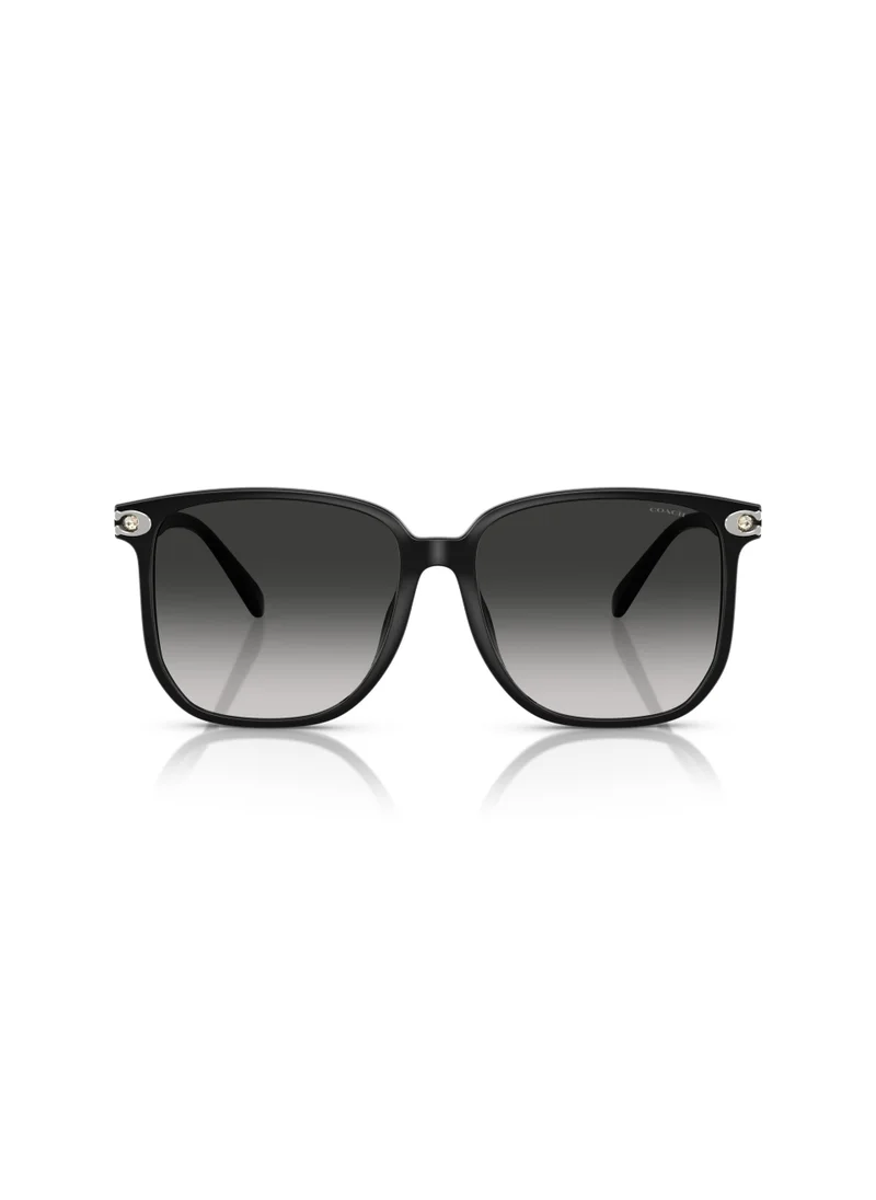 COACH Polyamide Standard Woman Sunwear