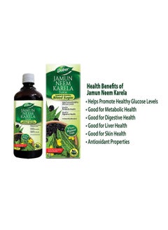 Dabur Jamun Neem Karela Juice : 100% ayurvedic juice for diabeties and boosting immunity-1L