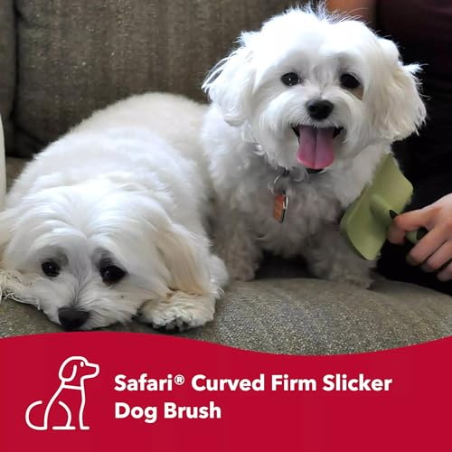 Coastal Pet Hair Brush for Dogs of All Types - Safari Curved Slicker Brush - Pet Grooming Tools for Shedding - Dog Pin Brush for Detangling - 7.5 x 4.5 inches - Image 3