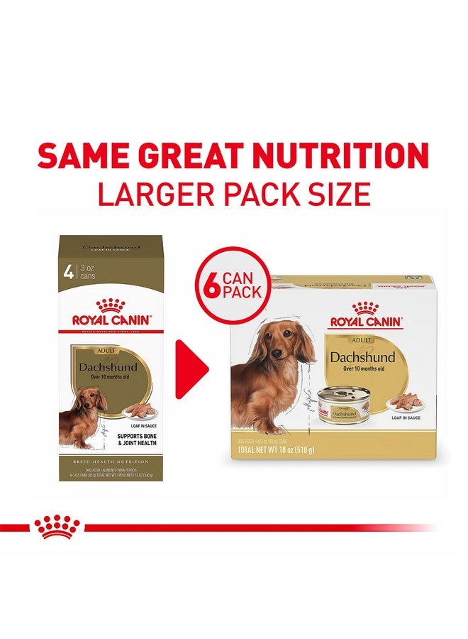 Royal Canin Dachshund Adult Breed Specific Wet Dog Food, 3 oz can (6-Pack) - Image 2