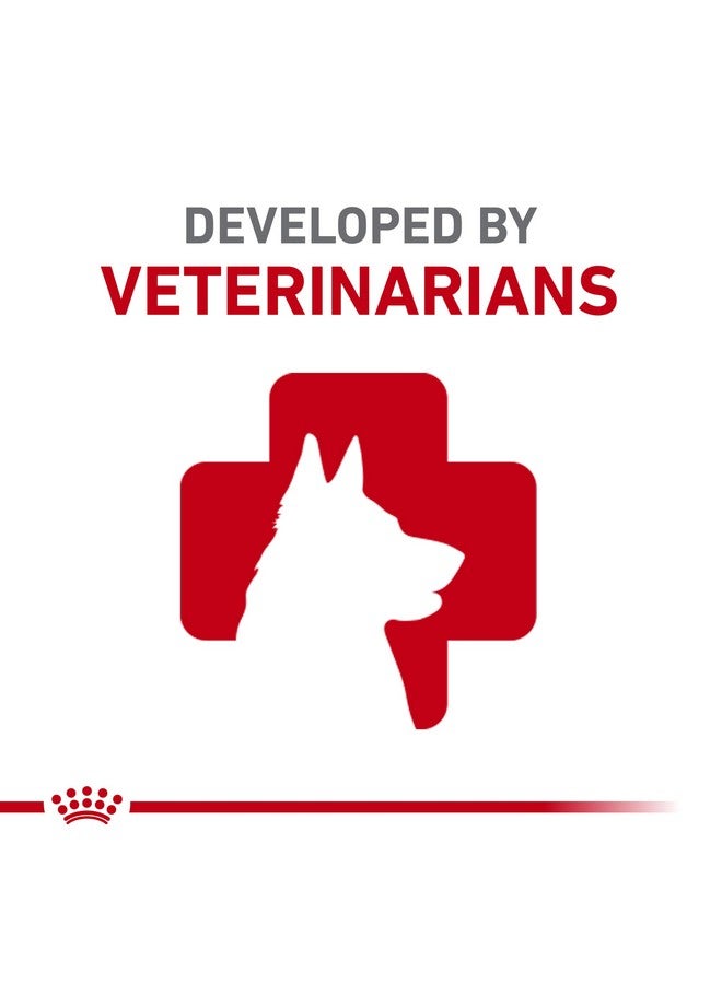 Royal Canin Dachshund Adult Breed Specific Wet Dog Food, 3 oz can (6-Pack) - Image 5