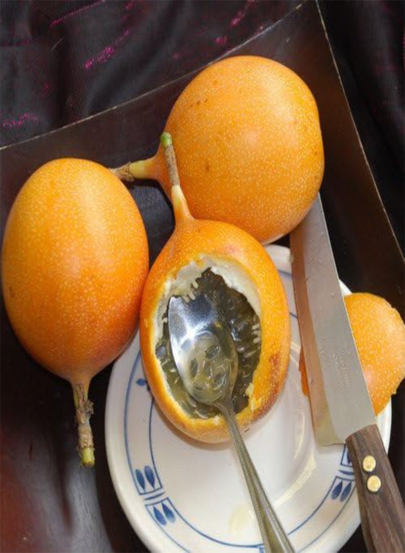 جي جوت بذور - بذور زهرة الآلام ليجولاريس - Image 2