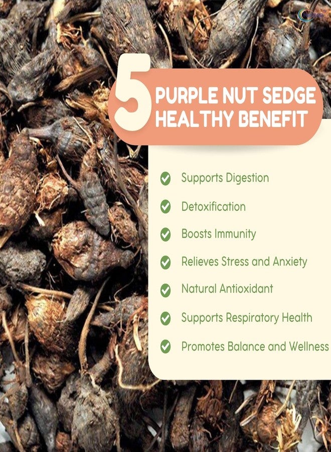 Neotea dried Korai Kilangu/Purple Nut Sedge/Nut Grass root (500g) - Image 2