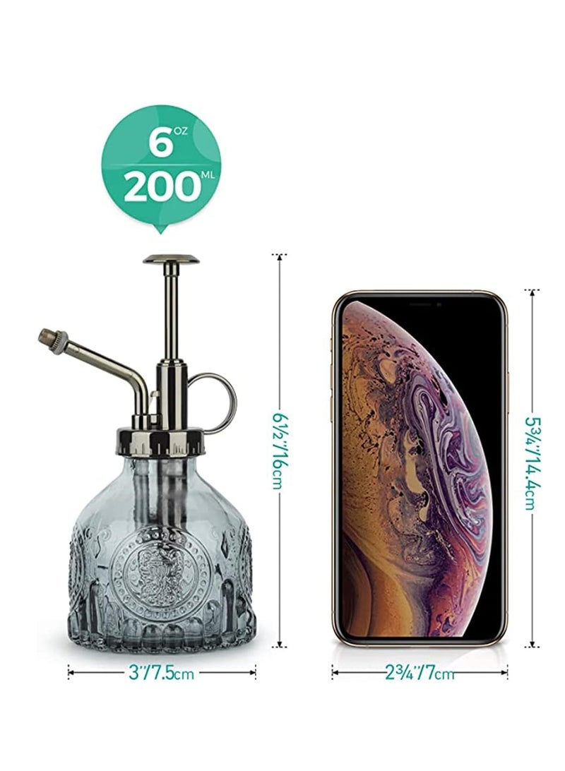 ڤسيل24 بخاخ زجاجي للنباتات مزود بمضخة معدنية - بخاخ مياه يدوي للنباتات الداخلية والعصارية - Image 3