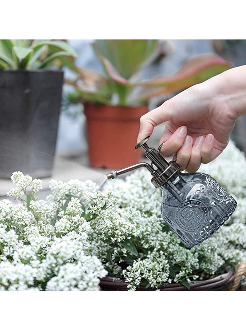 ڤسيل24 بخاخ زجاجي للنباتات مزود بمضخة معدنية - بخاخ مياه يدوي للنباتات الداخلية والعصارية - Image 5