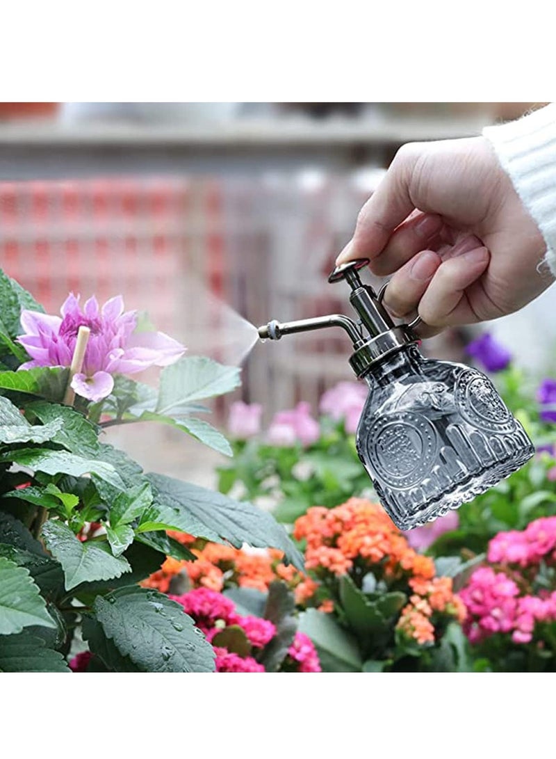 ڤسيل24 بخاخ زجاجي للنباتات مزود بمضخة معدنية - بخاخ مياه يدوي للنباتات الداخلية والعصارية - Image 4