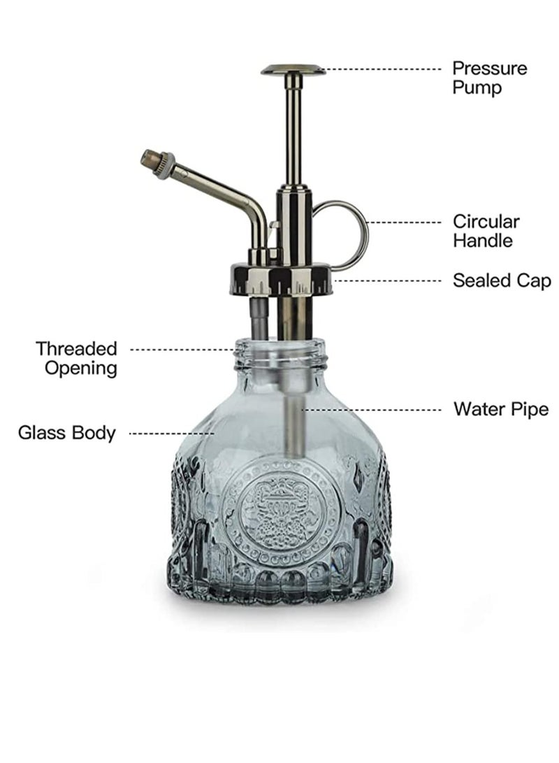 ڤسيل24 بخاخ زجاجي للنباتات مزود بمضخة معدنية - بخاخ مياه يدوي للنباتات الداخلية والعصارية - Image 2