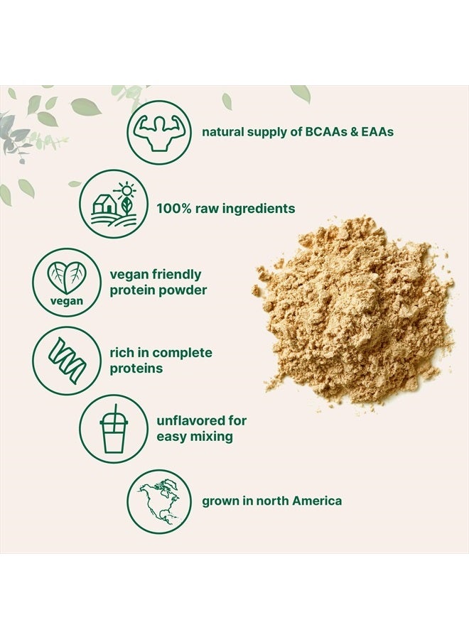 Micro Ingredients مسحوق بروتين البازلاء، 5 أرطال | نباتي، بدون نكهة | مصدر بروتين نباتي كامل – 27 جرام حصة | غني بالأحماض الأمينية المتفرعة و الأحماض الأمينية الأساسية | غير معدّل وراثياً، مناسب للكيتو - Image 3