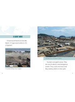 Tsunamis  - Image 2