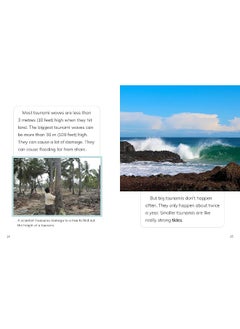 Tsunamis  - Image 1