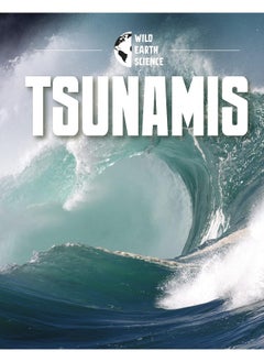 Tsunamis  - Image 4