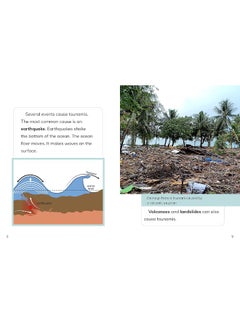 Tsunamis  - Image 5