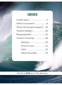 Tsunamis  - Image 3