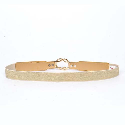 REDHORNS Elastic Fabric Waist Belt for Women Dresses Elegant Design Stretchy Slim Ladies Belt Saree Girls Jeans - Free Size (LD37-ALL) (Free Size- Gold) - Image 2