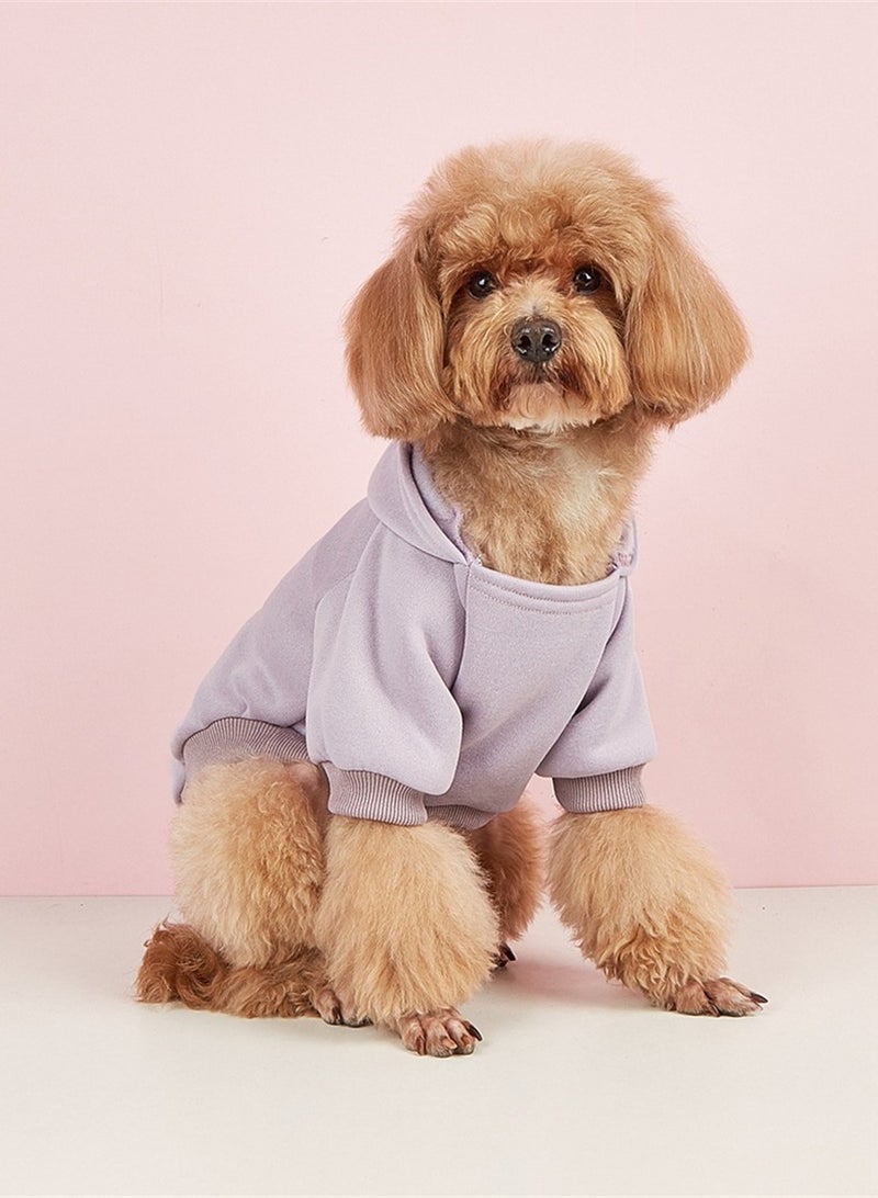 Loquat Squality New Pet Warm Clothing For Autumn And Winter Purple - Image 1