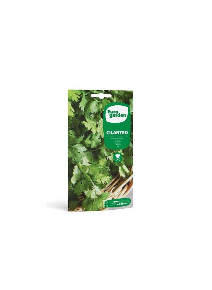 يورو جاردن على سبيل المثال بذور الكزبرة