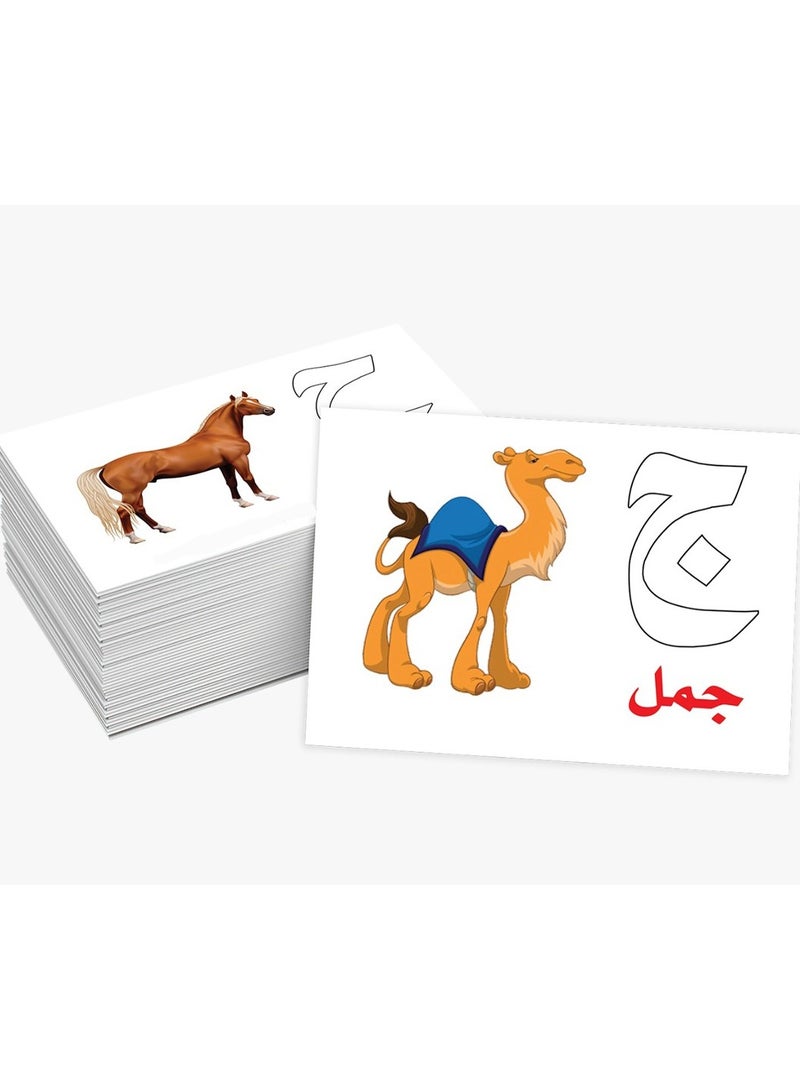 Series Of Educational Cards Arabic Letters - Image 4