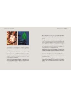 Regenerative Fashion  - Image 3