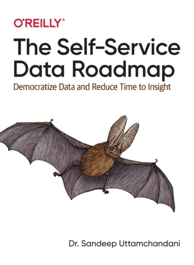 The Self-Service Data Roadmap : Democratize Data and Reduce Time to Insight 
