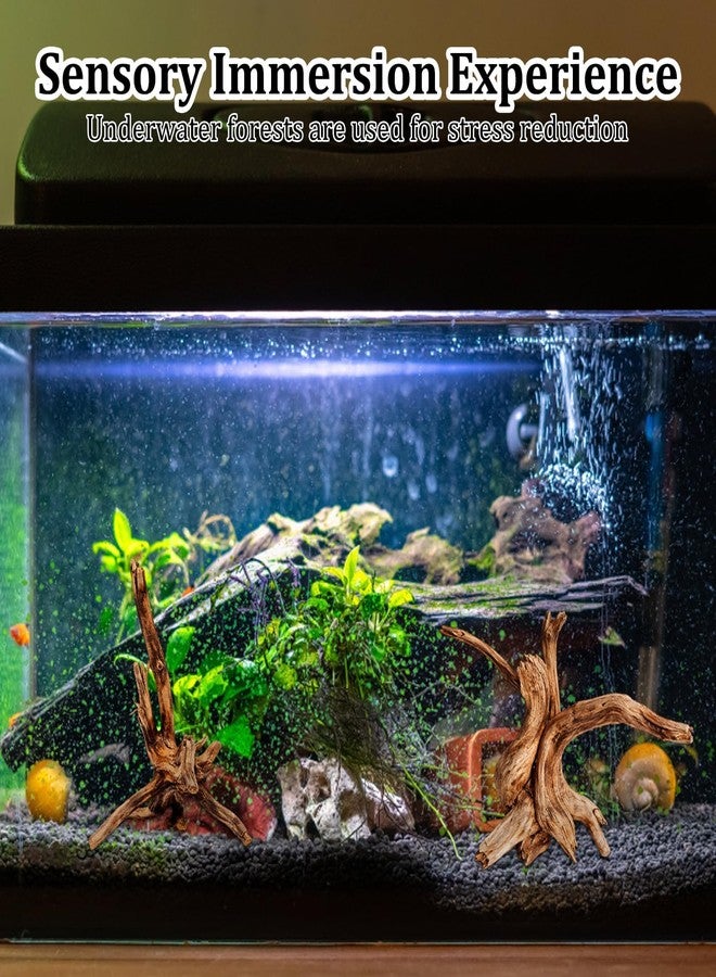 CZFSWT 2Pcs Driftwood for Aquarium, 3.93-5.9" Driftwood Decor, Drift Wood for Fishtank Suitable for Fish Tank Decorations and Reptile Habitats - Image 4