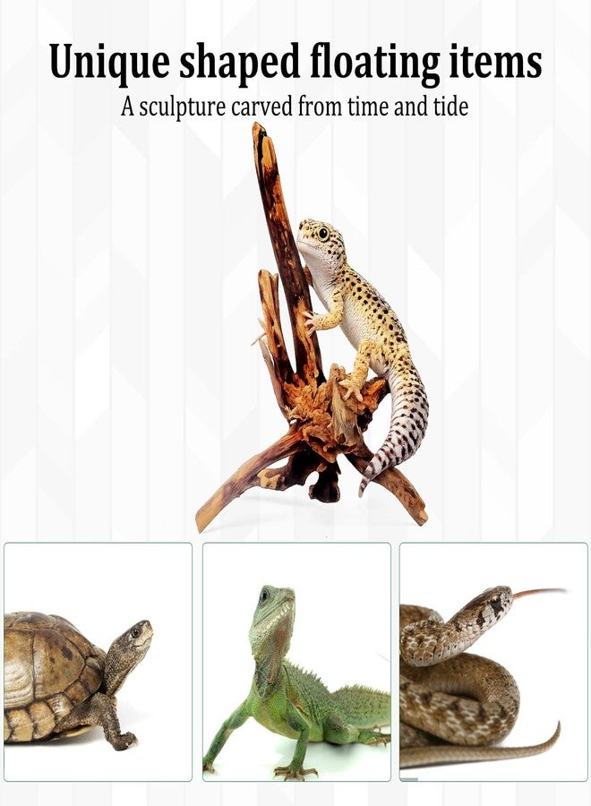 CZFSWT 2Pcs Driftwood for Aquarium, 3.93-5.9" Driftwood Decor, Drift Wood for Fishtank Suitable for Fish Tank Decorations and Reptile Habitats - Image 5