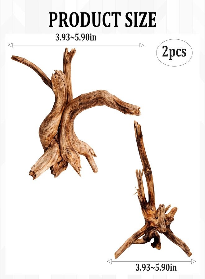 CZFSWT 2Pcs Driftwood for Aquarium, 3.93-5.9" Driftwood Decor, Drift Wood for Fishtank Suitable for Fish Tank Decorations and Reptile Habitats - Image 2