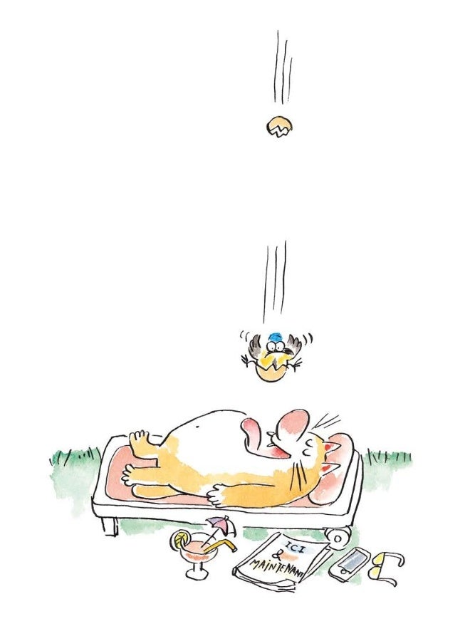 EDL Journal d'un chat assassin - Image 4