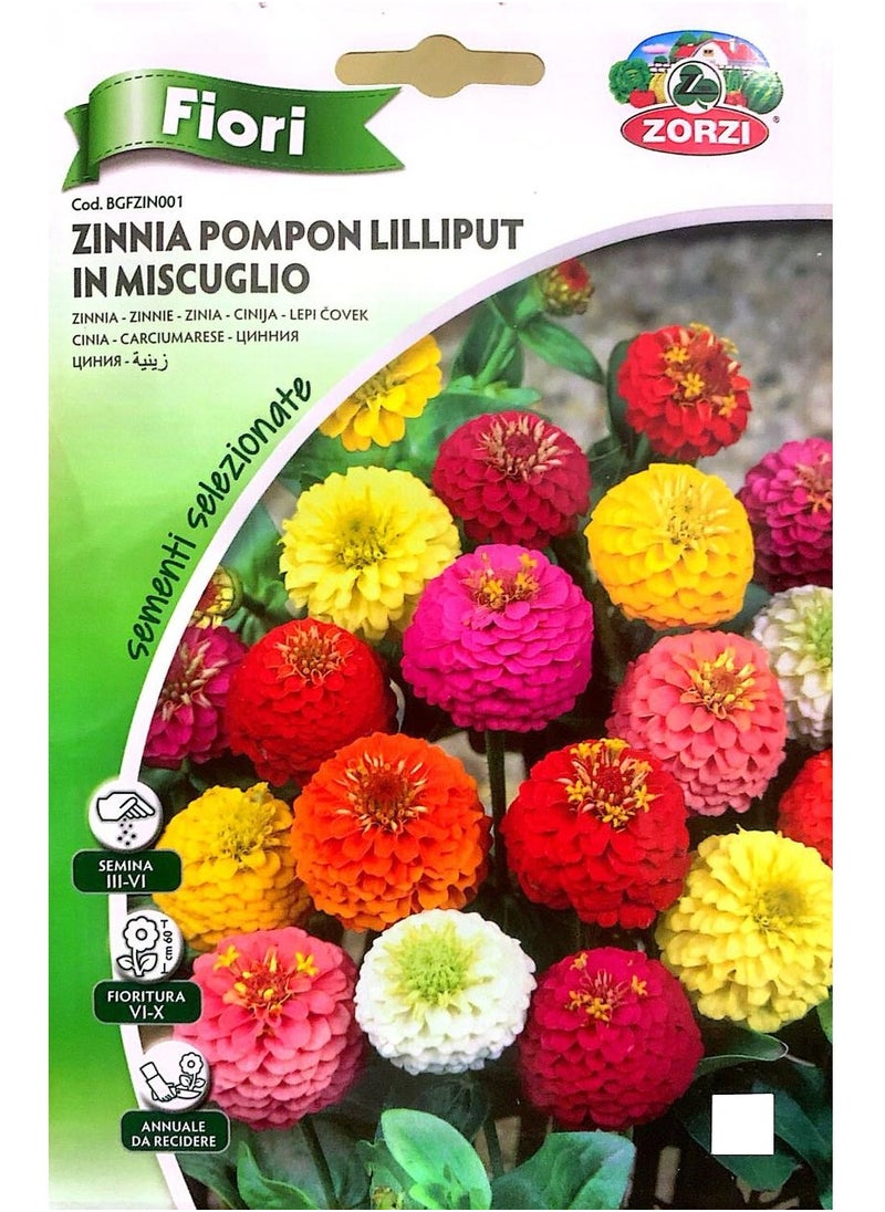 ZORZI - Zinnia Seeds - Image 1