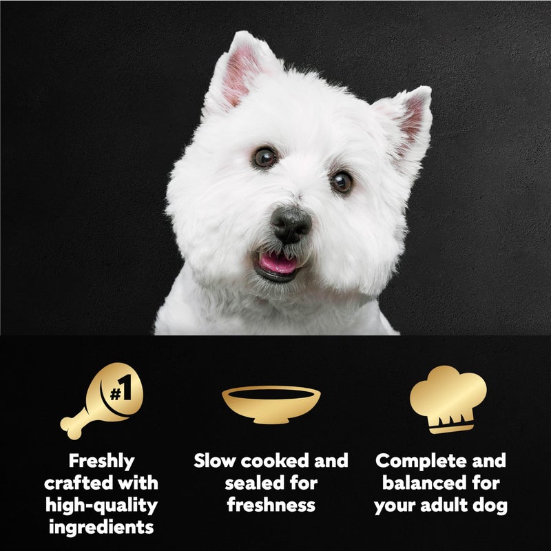 Cesar Filets in Gravy Wet Dog Food Rotisserie Chicken Flavor, Wet Food for Dogs, 1.76 oz. Mini-Pouches, 20 Count - Image 2
