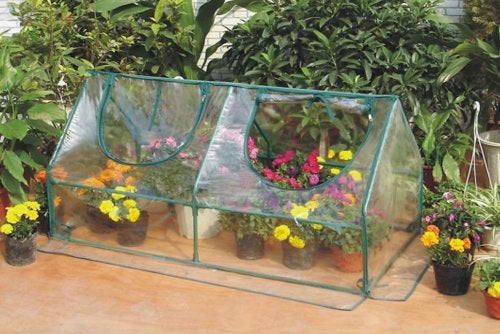 Zenport SH3212A Garden Cold Frame Greenhouse Cloche for Easy Access Protected Gardening - Image 2
