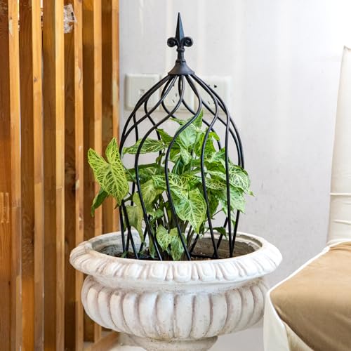 GOOOXIM 23-Inch Metal Obelisk Trellis for Climbing Plants | Sturdy Iron Design, Ideal for Outdoor Roses and Potted Vines | Easy Assembly, Compact Vertical Garden Decor for Indoor & Outdoor Use - Image 5