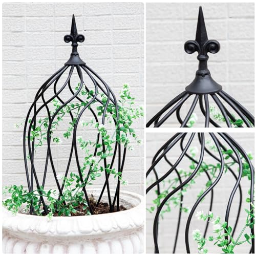 GOOOXIM 23-Inch Metal Obelisk Trellis for Climbing Plants | Sturdy Iron Design, Ideal for Outdoor Roses and Potted Vines | Easy Assembly, Compact Vertical Garden Decor for Indoor & Outdoor Use - Image 3