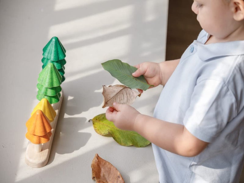 PlanToys Sort & Count Trees (5403) - Image 4