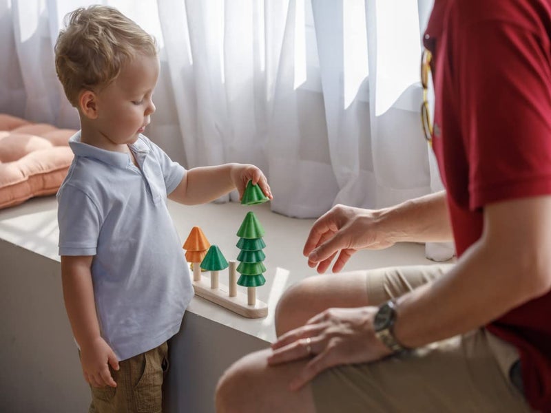 PlanToys Sort & Count Trees (5403) - Image 5