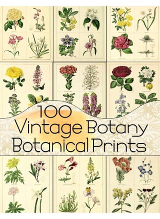 100 Vintage Botany Botanical Prints - pzsku/Z0C12FFF18A94CF7C271AZ/45/1749823308/a21e91b0-7fca-4a40-9a8e-0f33ffa841e5
