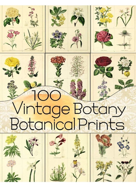 100 Vintage Botany Botanical Prints