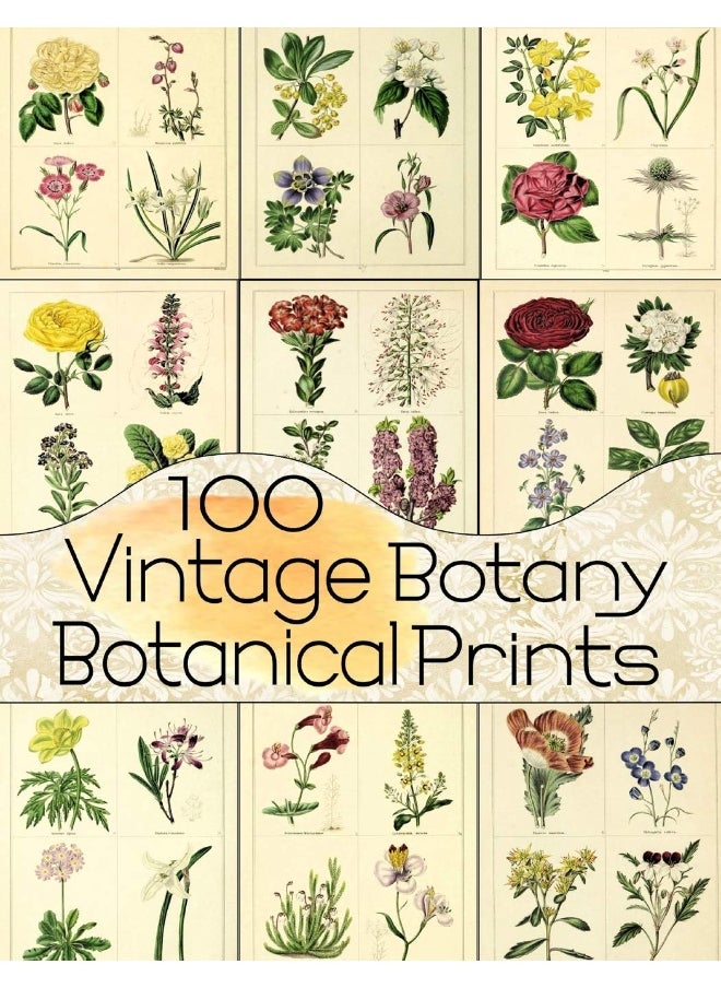 null - 100 Vintage Botany Botanical Prints - Image 1