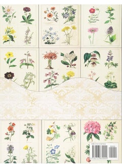 100 Vintage Botany Botanical Prints