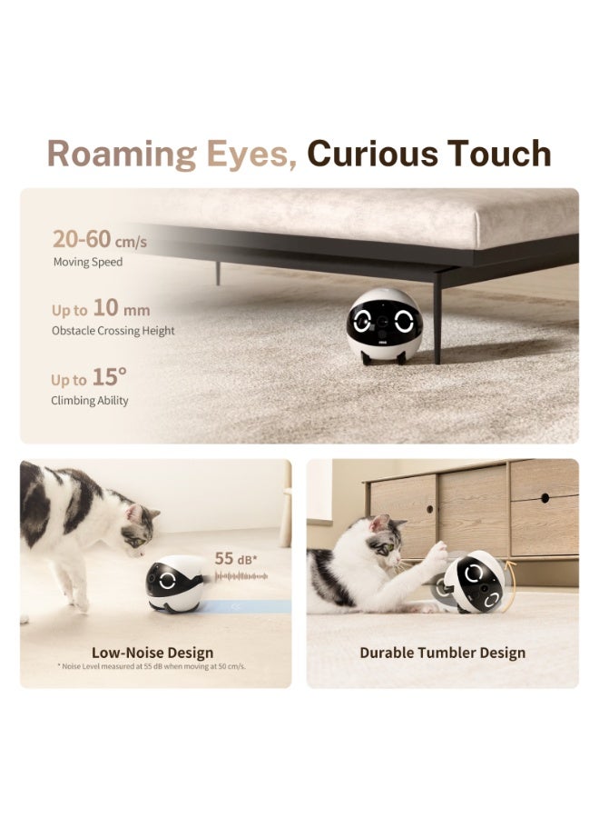 Enabot 2K Camera Robot, Movable Pet Camera, Night Vision, Battery-Powered with Phone App, Indoor Cam w/One-Touch Call, 2-Way Talk,  Motion Detection, Video Recording - Image 3