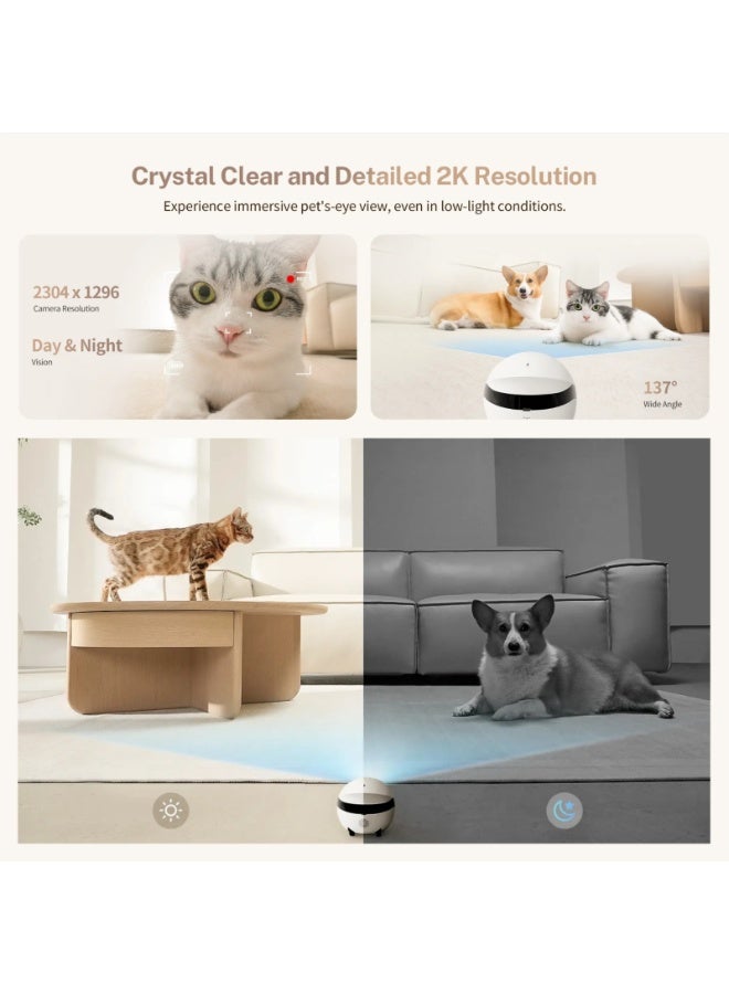 Enabot 2K Camera Robot, Movable Pet Camera, Night Vision, Battery-Powered with Phone App, Indoor Cam w/One-Touch Call, 2-Way Talk,  Motion Detection, Video Recording - Image 4