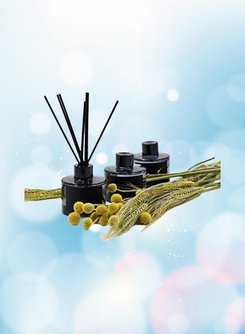 عصي توزيع مكونة من 100 عصي ألياف، آمنة وغير سامة، 9 بوصات طويلة 3 مم موزعات معالجة أرومية للمنزل، وحمام سباحة والمكتب (أسود) - Image 5