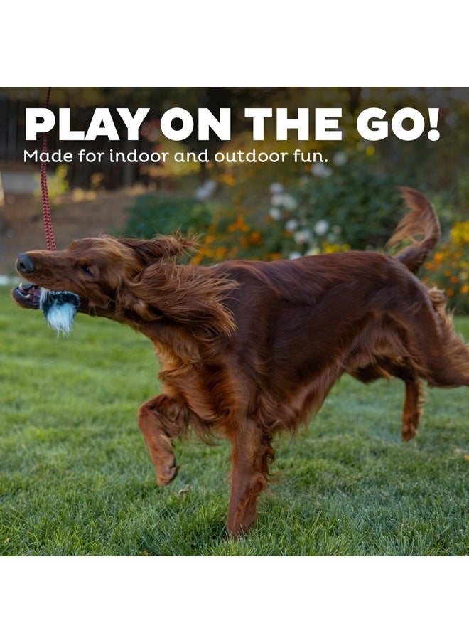 اوتورد هاوند طُعم بديل لعصا إغراء ذيل الكلب من Outward Hound، لون أسود  - Image 5