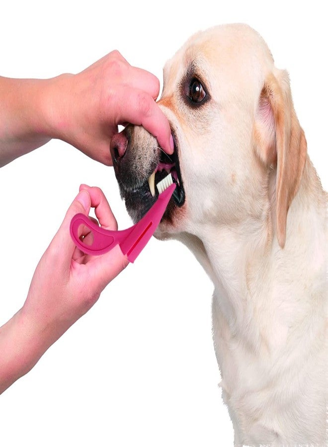 Sage Square Cat & Dog Toothbrush with Soft Bristles - Easy Teeth Cleaning, Dental Care & Comfortable Grip Toothbrush, Bad Breath Tartar Teeth Care Dog Cat Cleaning Mouth - Image 5