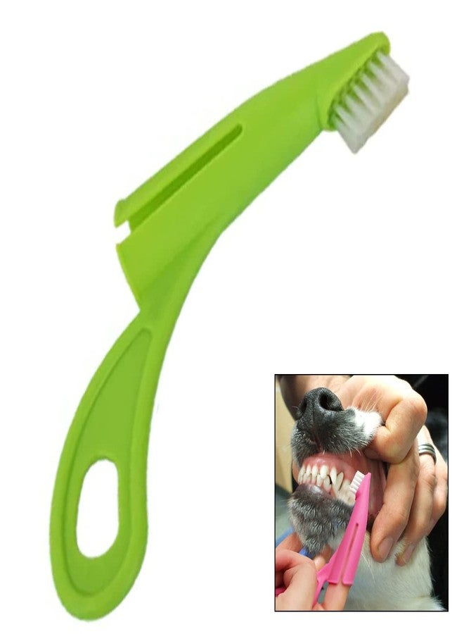 Sage Square Cat & Dog Toothbrush with Soft Bristles - Easy Teeth Cleaning, Dental Care & Comfortable Grip Toothbrush, Bad Breath Tartar Teeth Care Dog Cat Cleaning Mouth - Image 1