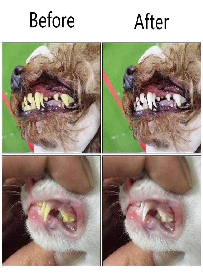 Sage Square Cat & Dog Toothbrush with Soft Bristles - Easy Teeth Cleaning, Dental Care & Comfortable Grip Toothbrush, Bad Breath Tartar Teeth Care Dog Cat Cleaning Mouth - Image 4