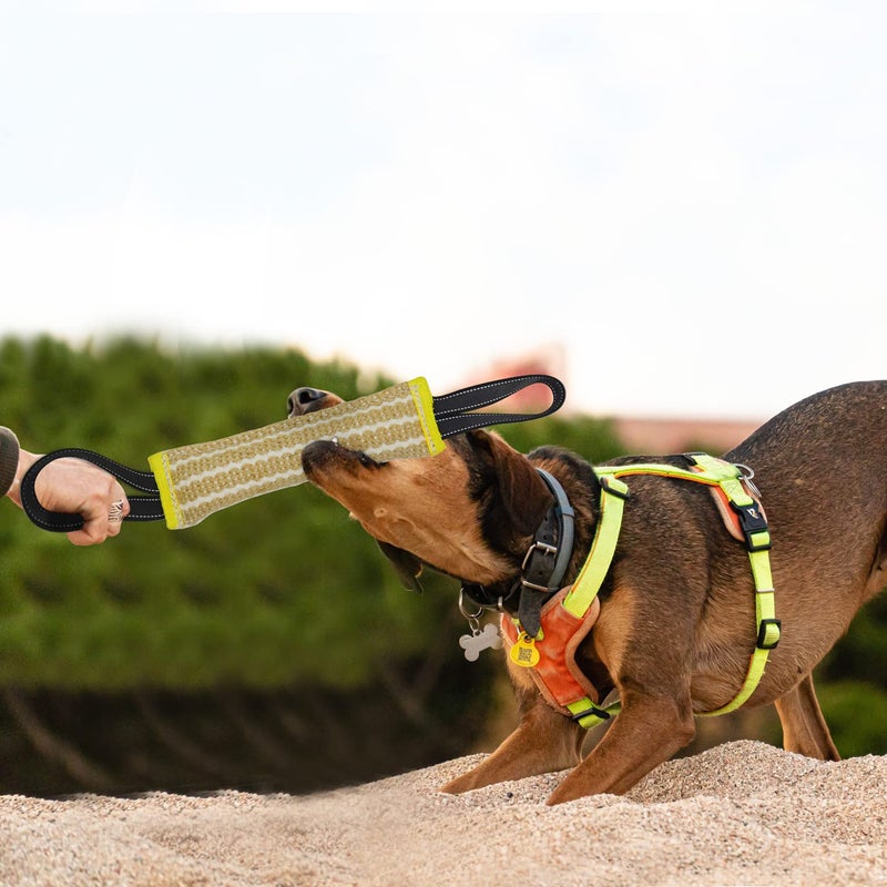 DGSL Dog Training Set - Dog Bite Sleeve, Pillow Tug Toy, Stick - Professional Training Equipment for Biting, Interactive, Fetch, K9, Puppy (Transverse Stripe) - Image 4