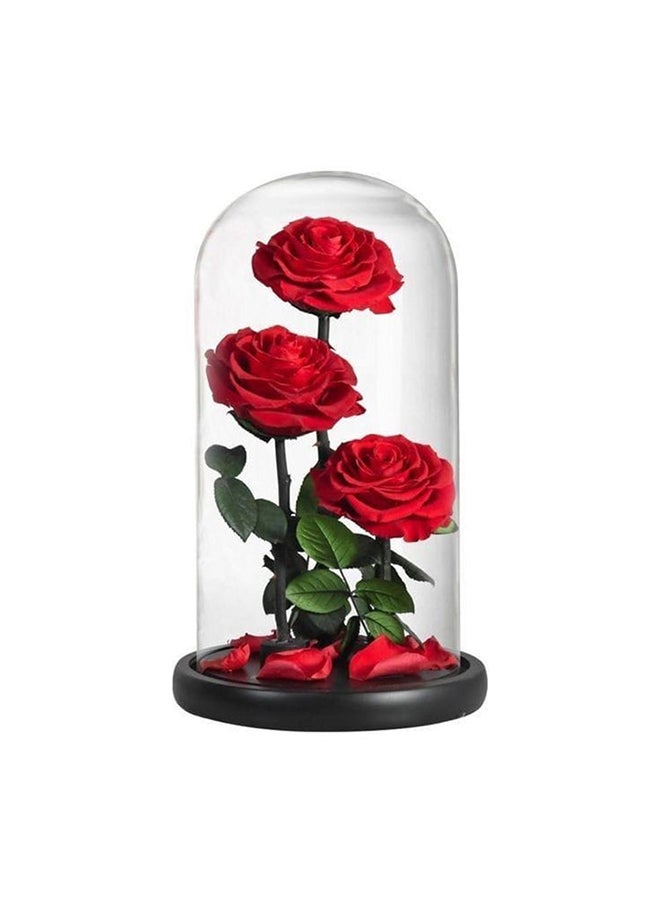Floral lane Flower Shop Eternal Love - Forever Roses Red 