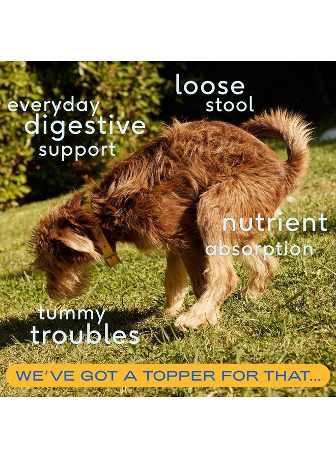 Native Pet Pumpkin for Dogs - Organic Powder Pumpkin Puree Dog Food Toppers -Rich in Fiber Supplement Powder Helps with Digestion, Nutrient Absorption, Diarrhea, Constipation & Upset Stomach-60 Scoops - Image 2