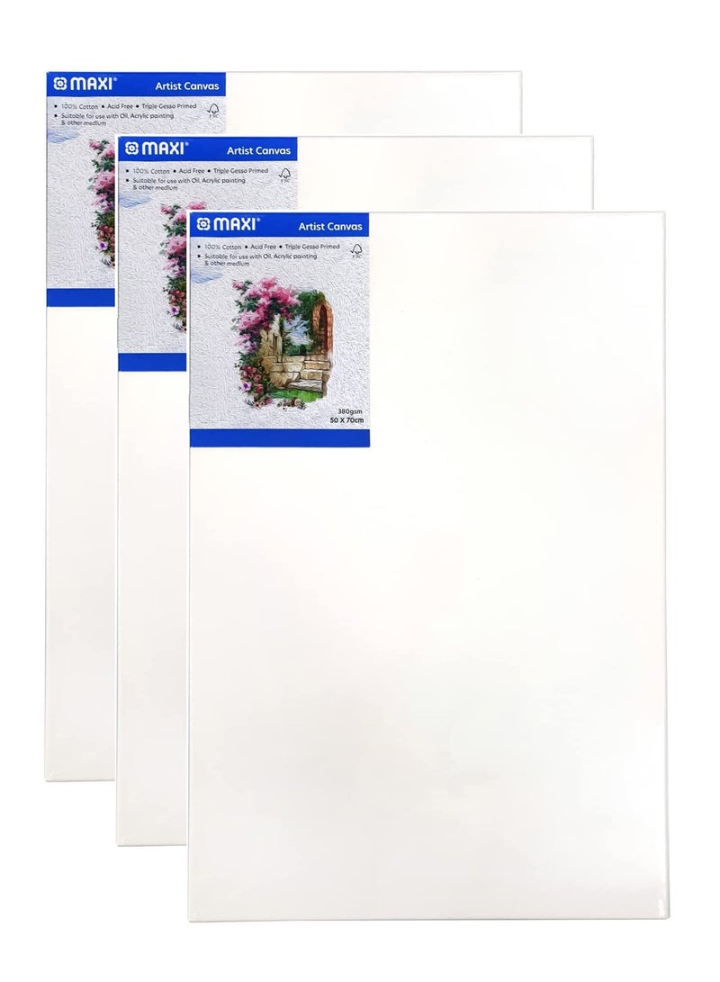 Maxi 3-Piece Stretched Canvas 50x70cm Size - Image 1
