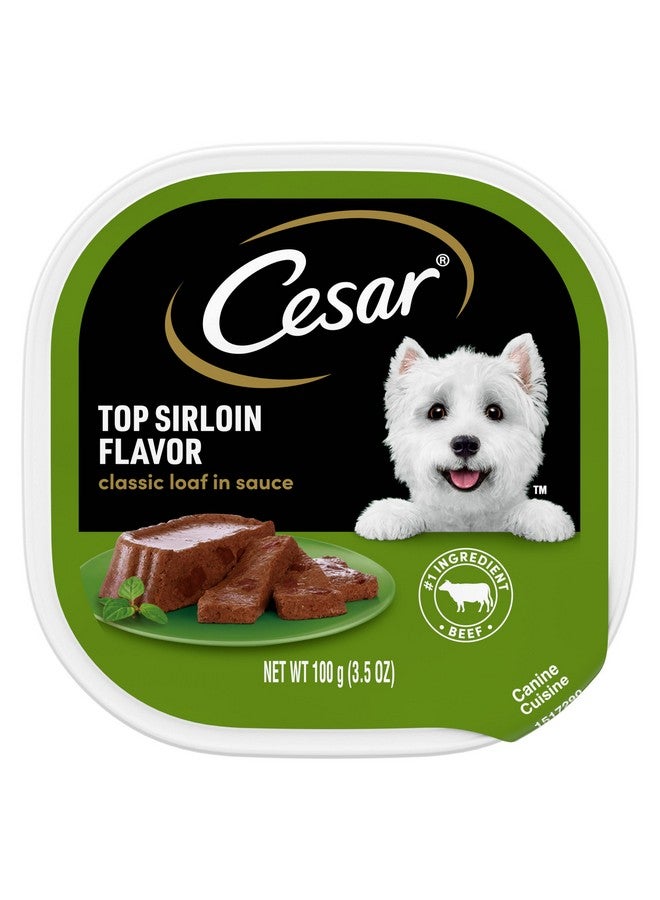 Cesar Wet Dog Food Classic Loaf in Sauce Top Sirloin Flavor, 3.5 oz. Easy Peel Trays (24 Count, Pack of 1) - Image 1